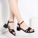 Buckle Closure Open Toe Low Heeled Sandals for Women - Black |image