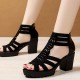 Waterproof Platform Back Zipper Fish Mouth High Women Heels - Black |image