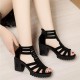 Waterproof Platform Back Zipper Fish Mouth High Women Heels - Black |image