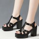 Comfort Peep Toe Buckle Stripe Closure Hollows Heel Sandals - Black |image