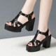 Comfort Peep Toe Buckle Stripe Closure Hollows Heel Sandals - Black |image