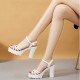Platform Peep Toe Ankle Straps Hollow High Heel Sandals - White |image