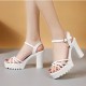 Platform Peep Toe Ankle Straps Hollow High Heel Sandals - White |image