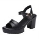 Platform Buckle Strap Open Toe Catwalk High Heel Sandals - Black |image