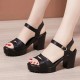 Platform Buckle Strap Open Toe Catwalk High Heel Sandals - Black |image