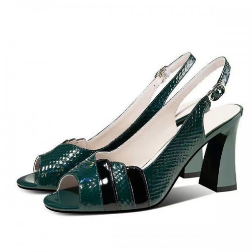 Fish Mouth Strap Design Buckle Closure Squire Heel Sandals - Green |image
