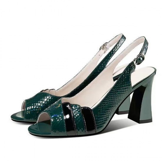 Fish Mouth Strap Design Buckle Closure Squire Heel Sandals - Green |image