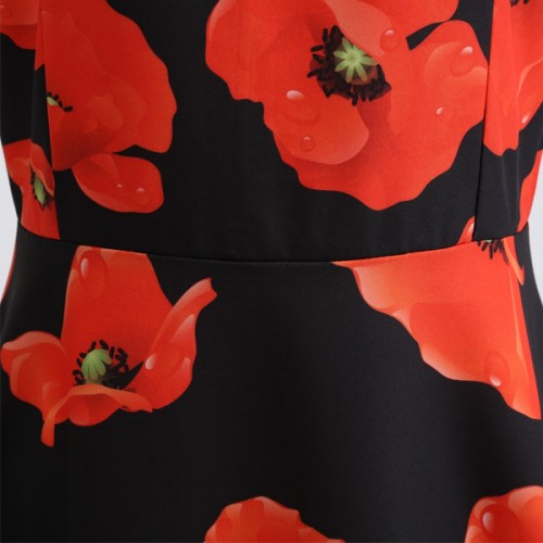 Floral Printed Vintage Striped A-line Pleated Swing Midi Party Dress - Red |image