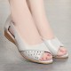 Roman Style Chunky Wedges Peep Toe Soft Sole Women Sandals - Beige |image