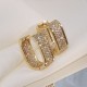Luxury Fashion Paved CZ Zircon Hoop Earrings For Women-Gold |image