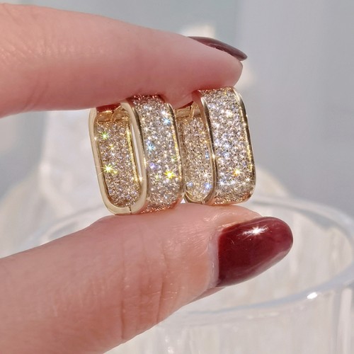 Luxury Fashion Paved CZ Zircon Hoop Earrings For Women-Gold |image