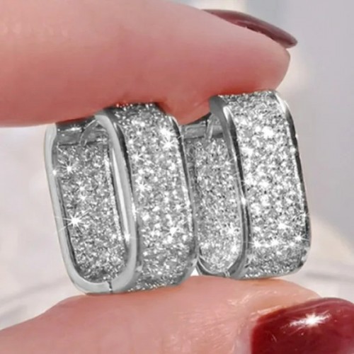 Luxury Fashion Paved CZ Zircon Hoop Earrings For Women-Silver |image