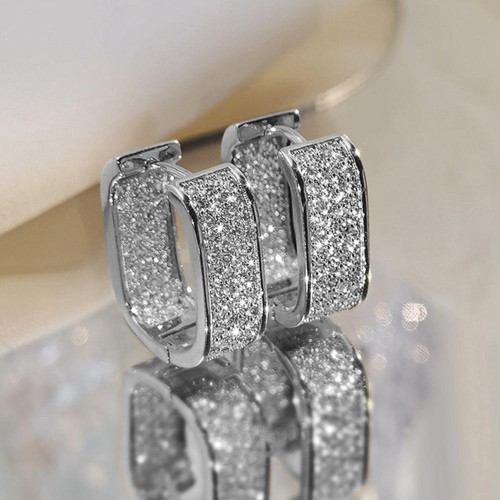 Luxury Fashion Paved CZ Zircon Hoop Earrings For Women-Silver |image