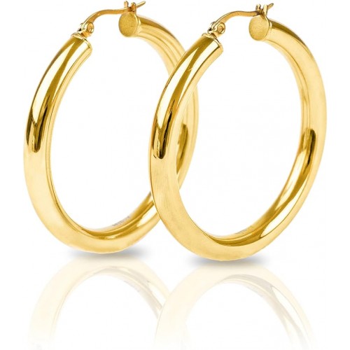Gold Plated Hoop Earrings A Timeless Choice For Women |image