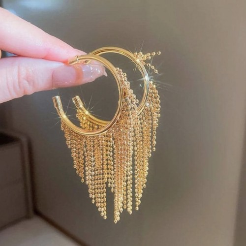 Fashion Tassel Design Hoop Earrings For Women|image